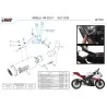 Mivv GPpro Carbono Benelli BN 302 R E.010.L2P