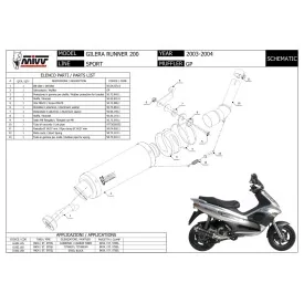 Mivv GP Gilera Runner 200