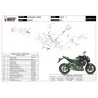 Mivv GP Kawasaki Z800