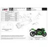 Mivv DELTA RACE Carbon Kawasaki ZX-10 R / RR / SE