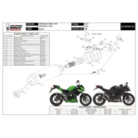 Mivv GP Kawasaki Ninja 300