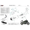 Mivv MK3 Carbon Kawasaki Z900 A2 (35 KW / 70 KW) K.056.LM3C