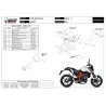 Mivv GP KTM Duke 690