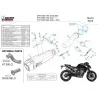 Mivv Delta Race Ktm Duke 790