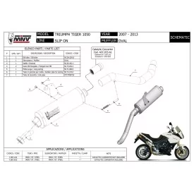 Mivv Oval Triumph Tiger 1050