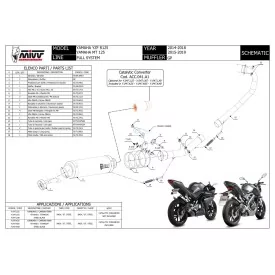 Mivv Komplette Sport-Auspuffanlage Schwarz Carbon-Endkappe Yamaha MT-125 Y.047.LXBC + ACC.041.A1