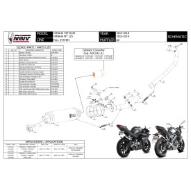 Mivv Echappement Sport Complet Noir fond carbone Yamaha YZF R125 Y.047.LXBC + ACC.041.A1