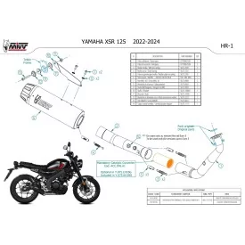 Mivv Komplette Sport-Auspuffanlage Schwarz Carbon-Endkappe Yamaha XSR 125