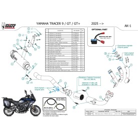 Mivv Komplette Sport-Auspuffanlage Titan Carbon-Endkappe Yamaha Tracer 9 / GT / GT+ Y.081.L4K + ACC.099.A1
