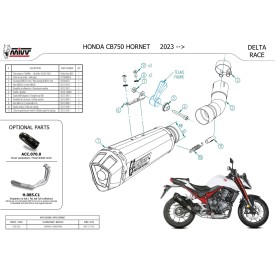 Mivv DELTA RACE Carbon Honda CB750 HORNET H.085.LDRC