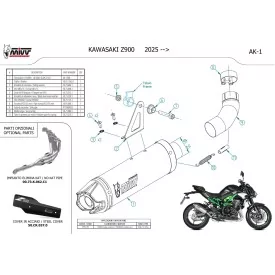 Mivv AK-1 Kawasaki Z900