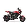 IXIL BENELLI TNT 125 - T 125 XB5306V
