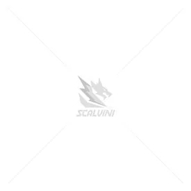 Scalvini Racing Husqvarna 4T 125 005.065002