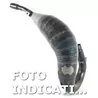 Scalvini Racing Tm Moto MX 80 001.153002
