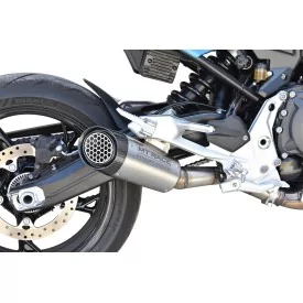 Mt-Race Bmw F 900 2020-2025 Terminale GP1R