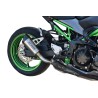 Mt-Race Kawasaki Z900 2020-2024 Terminale GP1R