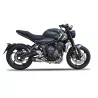 Mt-Race Triumph Trident 660 2021-2025 Completo GP1R