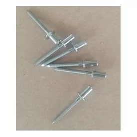 Stainless Steel Rivets Marving