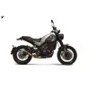 Termignoni Acero Inoxidable Carbono Benelli Leoncino 500