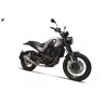 Termignoni Decatalyseur Conique Titane Benelli Leoncino 500