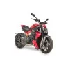 Termignoni Decatalizzatore Inox Titanio Ducati Diavel