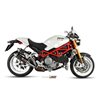 Mivv GP Ducati Monster S4RS