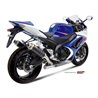 Mivv GP Suzuki GSX-R 1000