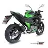 Mivv GP Kawasaki Z800
