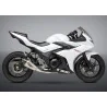 Escape Moto Yoshimura Suzuki GSX 250R Race ALPHA T Works Finish