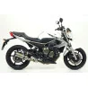 Arrow Exhaust Yamaha XJ6
