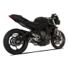Hp Corse GP07 Triumph Street Triple 765