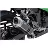 Termignoni Kawasaki Ninja 300 R