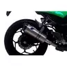 Termignoni Kawasaki Ninja 300 R