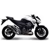 Termignoni Kawasaki Z 800 E