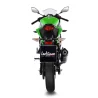 Leovince Kawasaki Ninja 125 LV ONE EVO