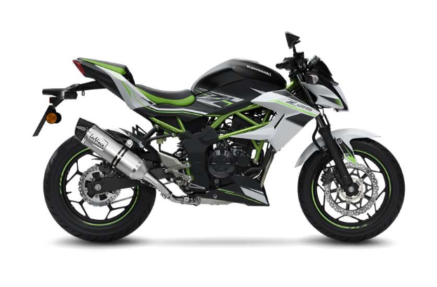 Exhaust Leovince Kawasaki Z125 14293E