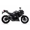 Arrow Exhaust Kawasaki Z300