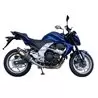 Exan Kawasaki Z 750 Ovale Carbon Cap