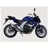 Exan Kawasaki Z 750 Ovale Carbon Cap