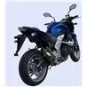 Exan Kawasaki Z 750 Ovale Carbon Cap