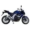 Exan Kawasaki Z 750 Ovale Carbon Cap