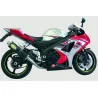 Exan Suzuki GSX-R 1000 Ovale Classic