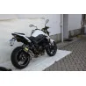 Exan Suzuki GSR 750 Ovale Carbon Cap