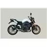 Exan Yamaha FZ8 Ovale Carbon Cap