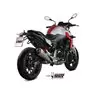 Mivv Delta Race Bmw F 900 R