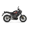 Akrapovic Yamaha XRS 125 S-Y125R10-HBFGT