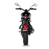 Akrapovic Yamaha XRS 125 S-Y125R10-HBFGT