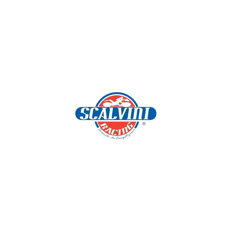 Scalvini Racing Beta 125 RR - 4T 005.075003