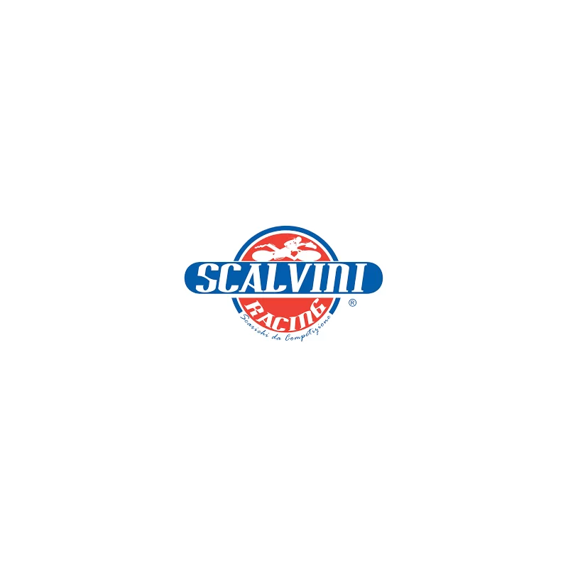 Scalvini Racing Kawasaki Kx 250 002.046116