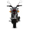 Arrow Exhaust Honda MSX 125 / GROM 